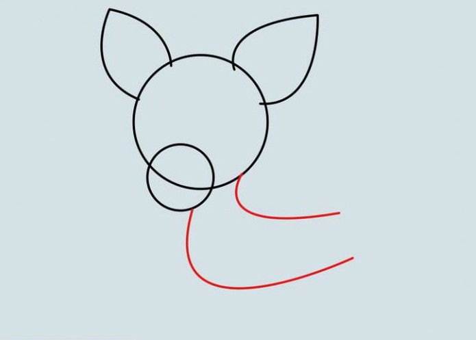 πώς να σχεδιάσετε ένα σκυλί τσιουάουα με ένα μολύβι